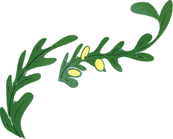 Botanical illustration of wormwood