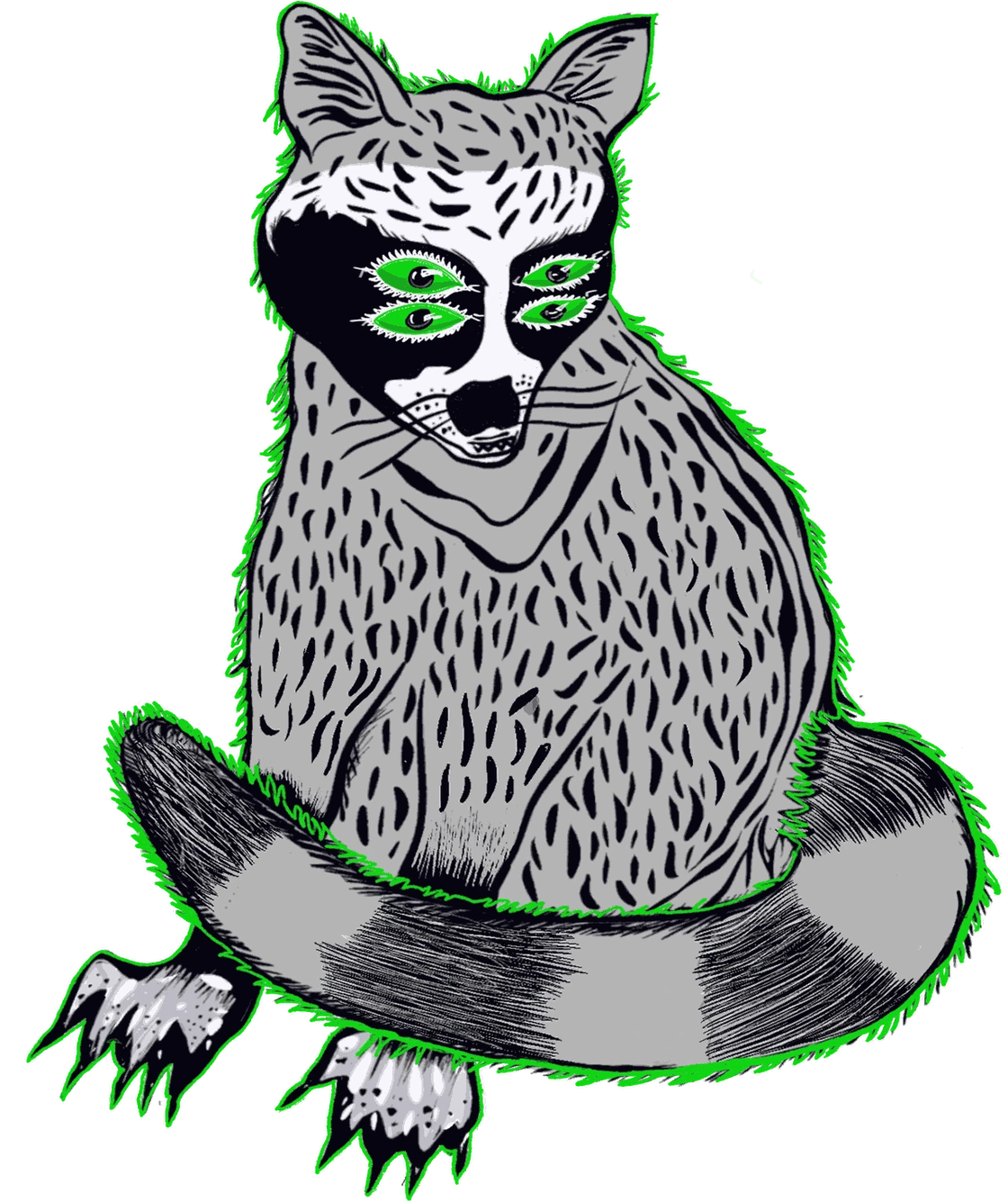 Illustration of Paapi, the four-eyed cat